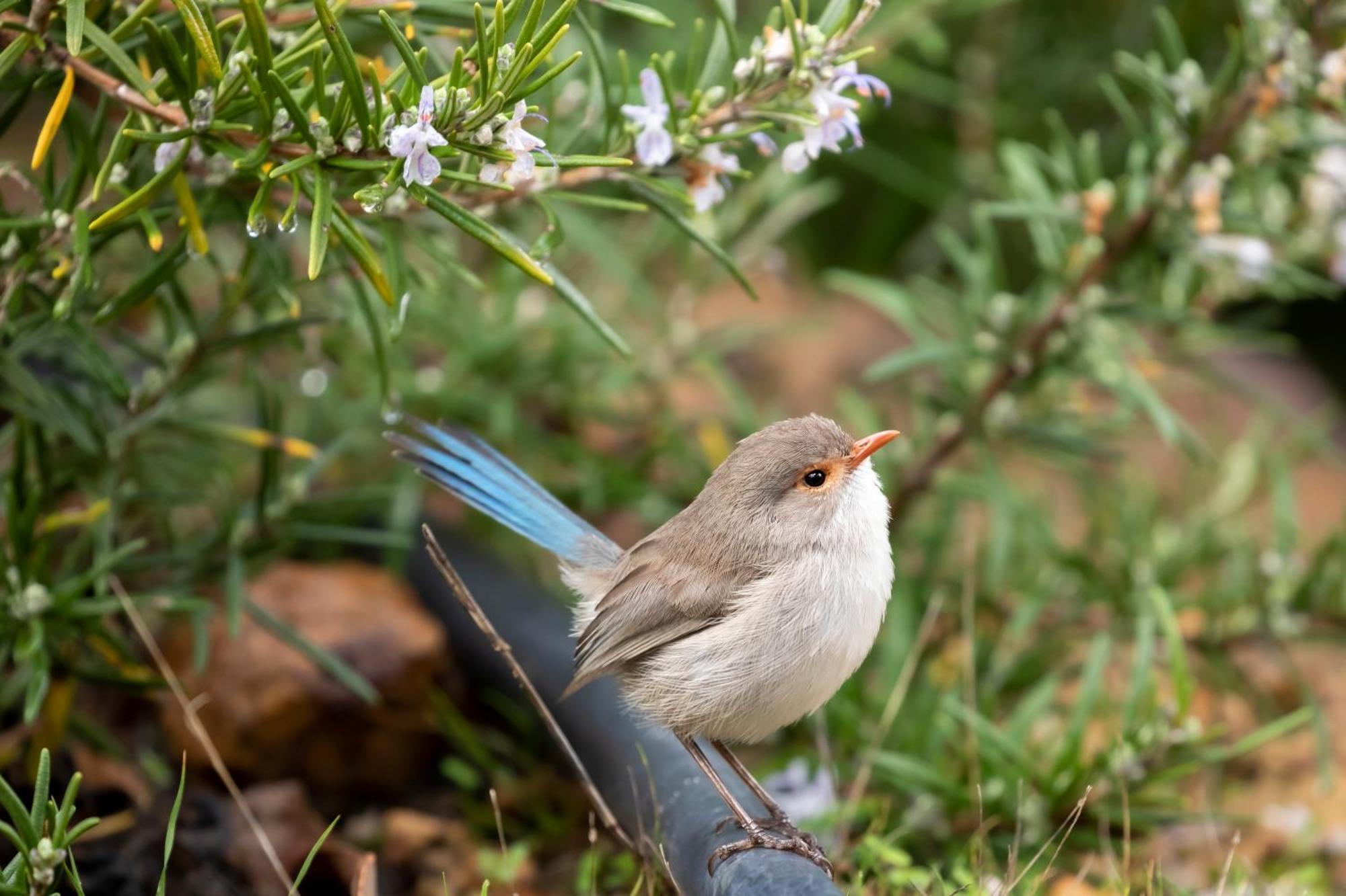 Yelverton Brook Conservation Sanctuary Metricup エクステリア 写真