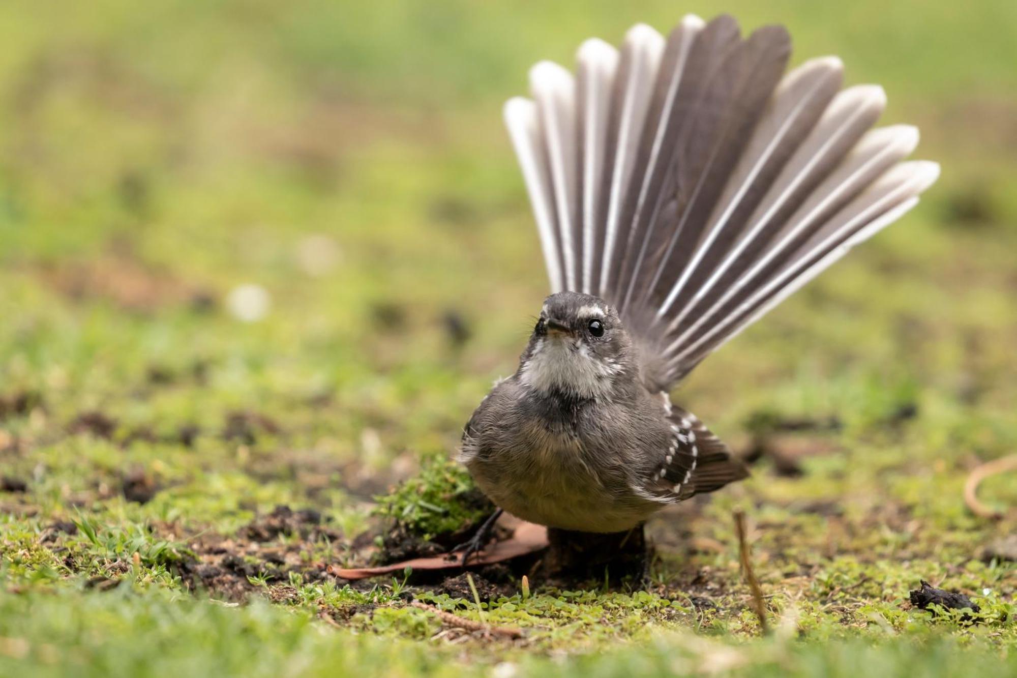 Yelverton Brook Conservation Sanctuary Metricup エクステリア 写真