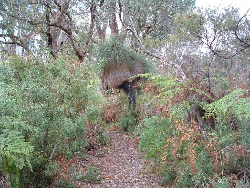 Yelverton Brook Conservation Sanctuary Metricup エクステリア 写真